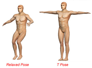 Zbrush T Pose question — polycount