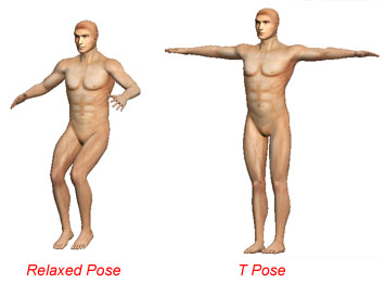 The T pose has a new meaning.